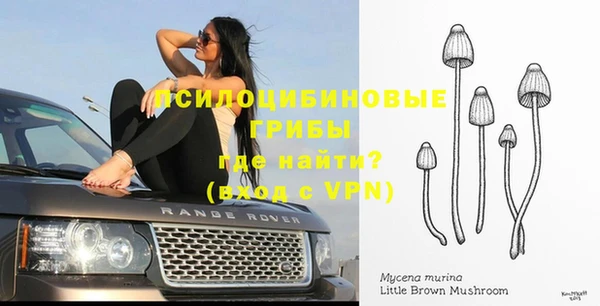 a pvp Галич